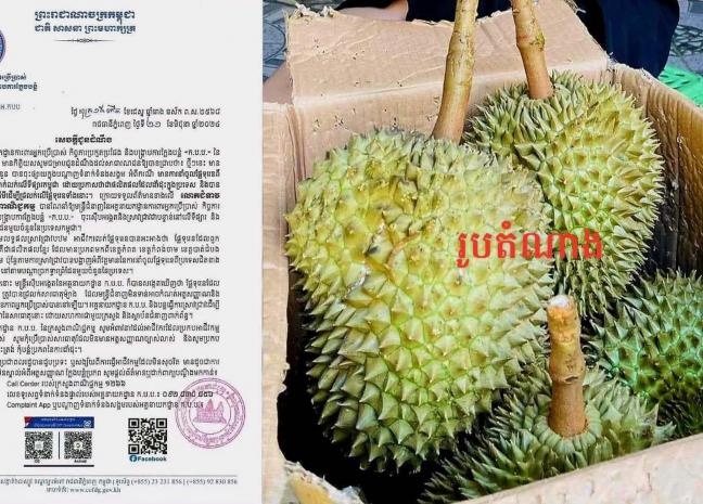 ក្រសួងពាណិជ្ជកម្ម រកឃើញថា ផ្លែធុរេនដែលនាំចូលមួយចំនួនត្រូវបានជ្រលក់សារធាតុម៉្យាង ដែលមិនទាន់អាចកំណត់អត្តសញ្ញាណ និងផលប៉ះពាល់ដល់សុខភាពអ្នកប្រើប្រាស់បាននៅឡើយ